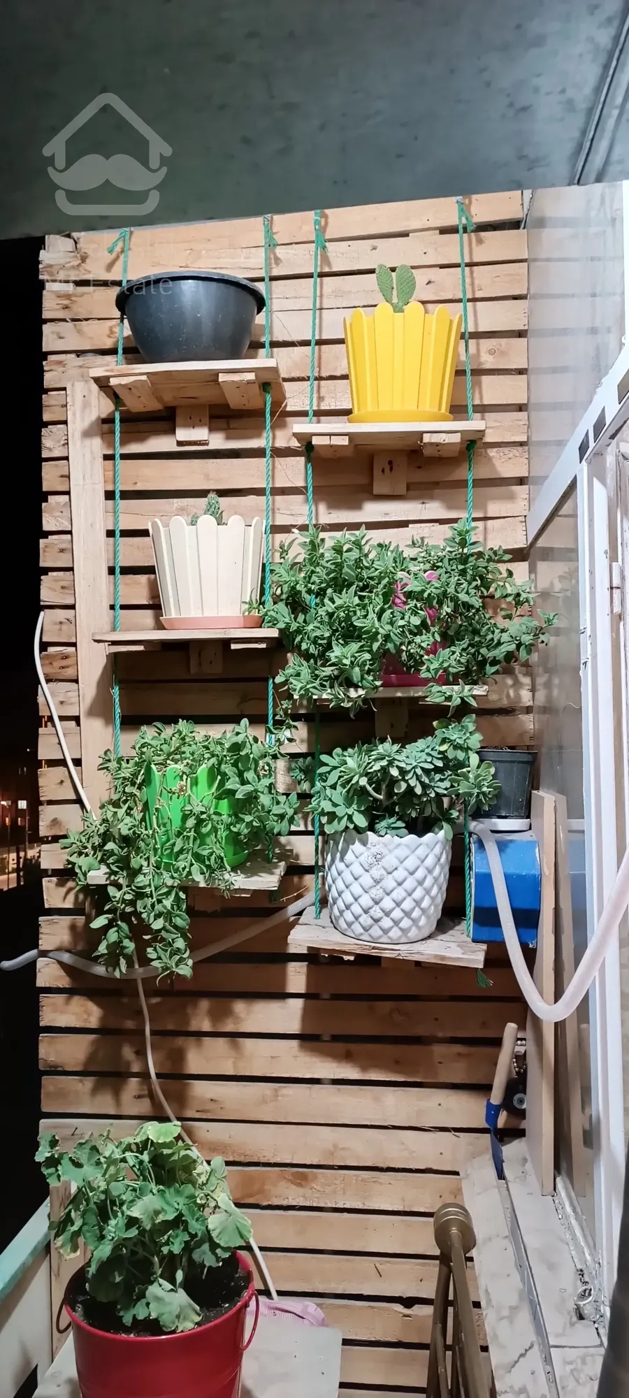 یک خواب غرق در نور