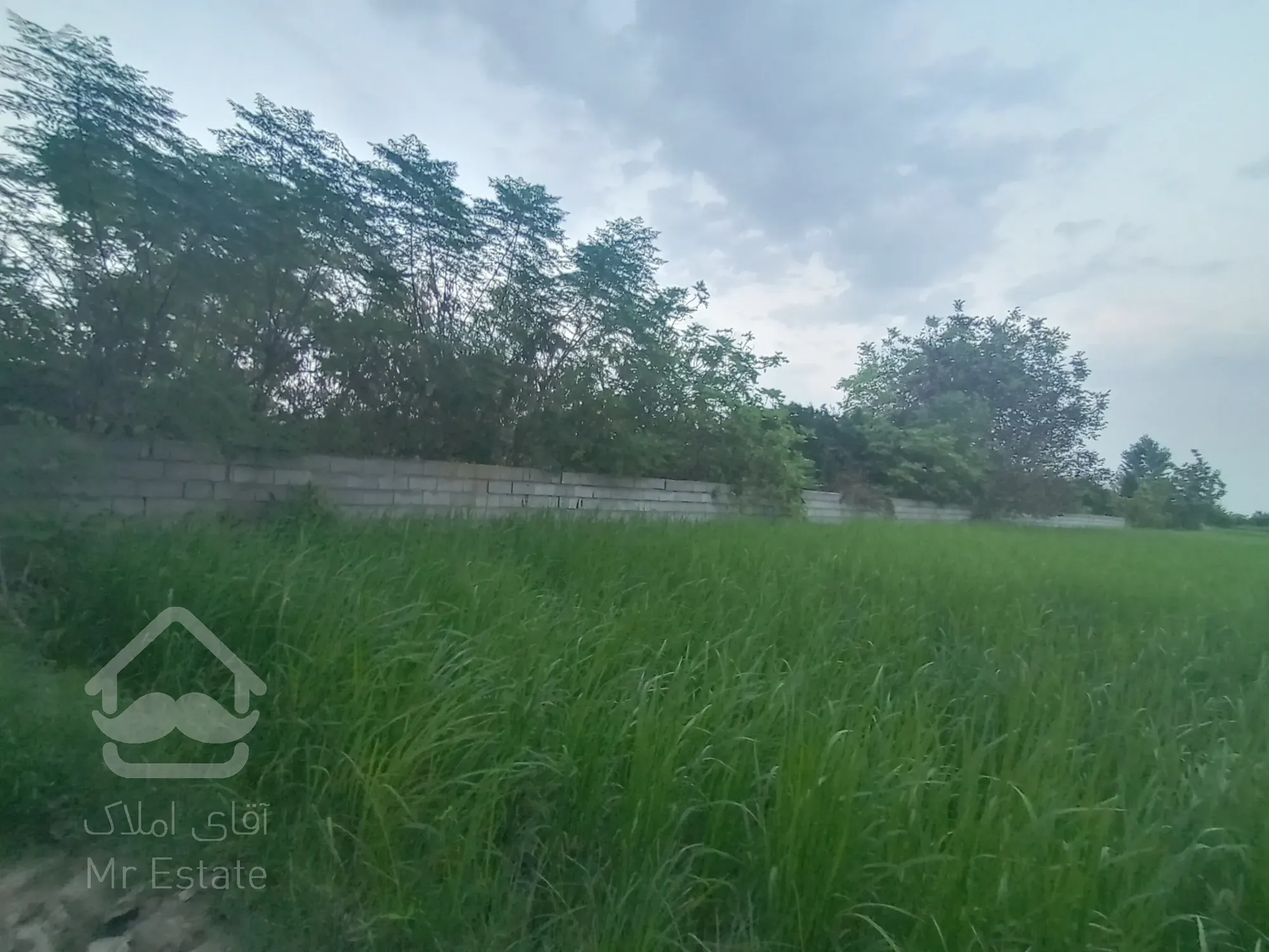 فروش باغ پر از میوه لاکچری زیرقیمت