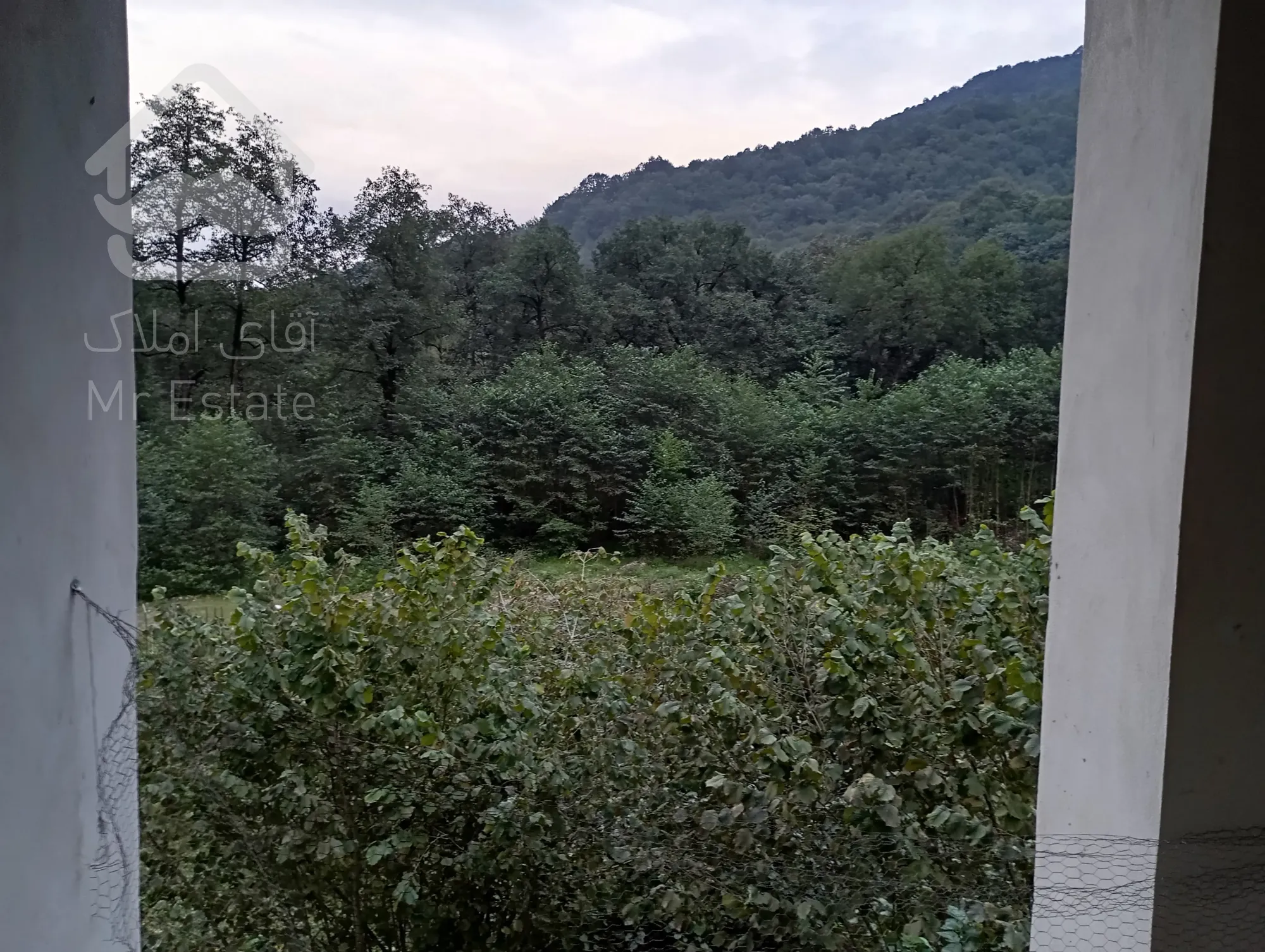 اجاره روزانه سوئیت جنگلی در رامسر