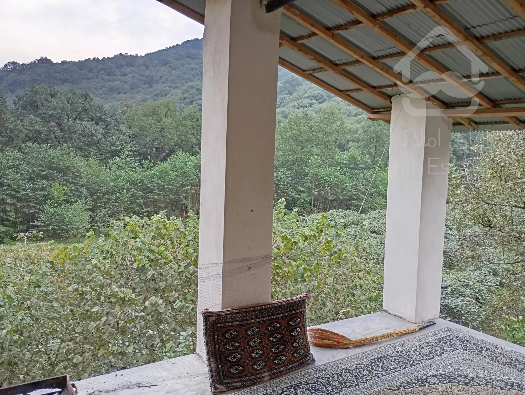 اجاره روزانه سوئیت جنگلی در رامسر