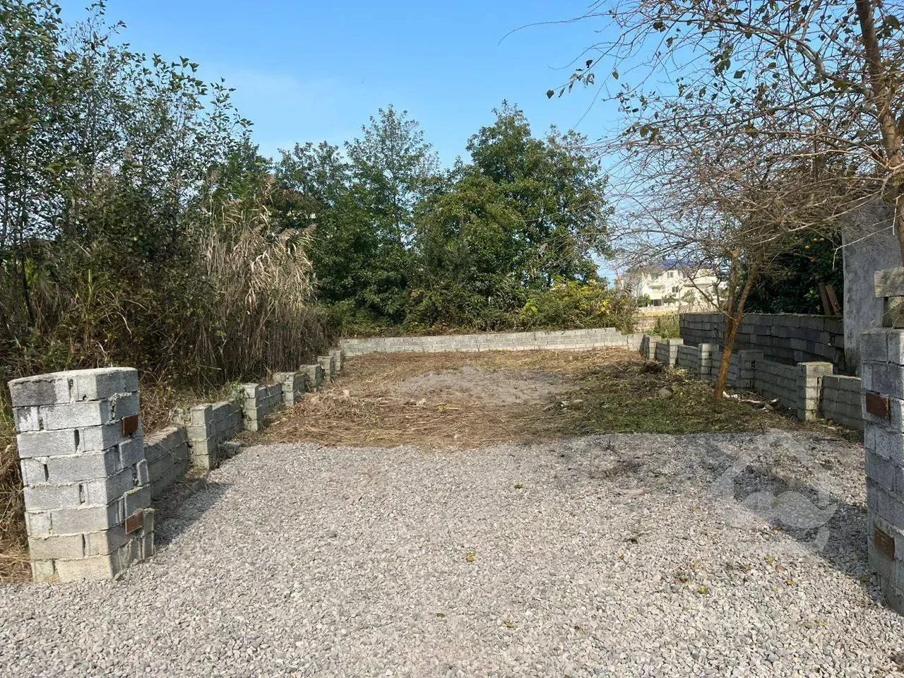 فروش زمین ۲۴۰ متری در ملکار نوشهر