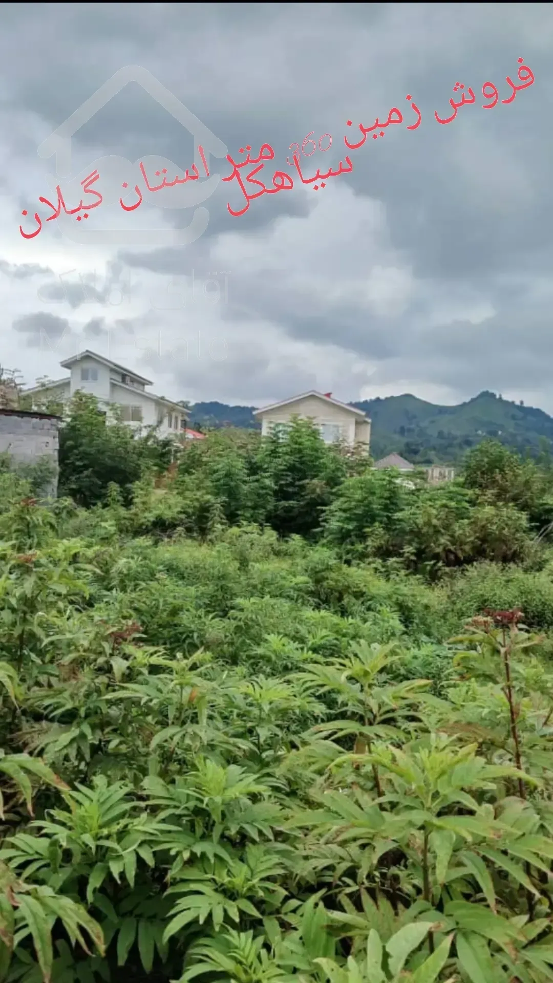 فروش زمین‌ ۳۶۰ متری در استان گیلان سیاهکل