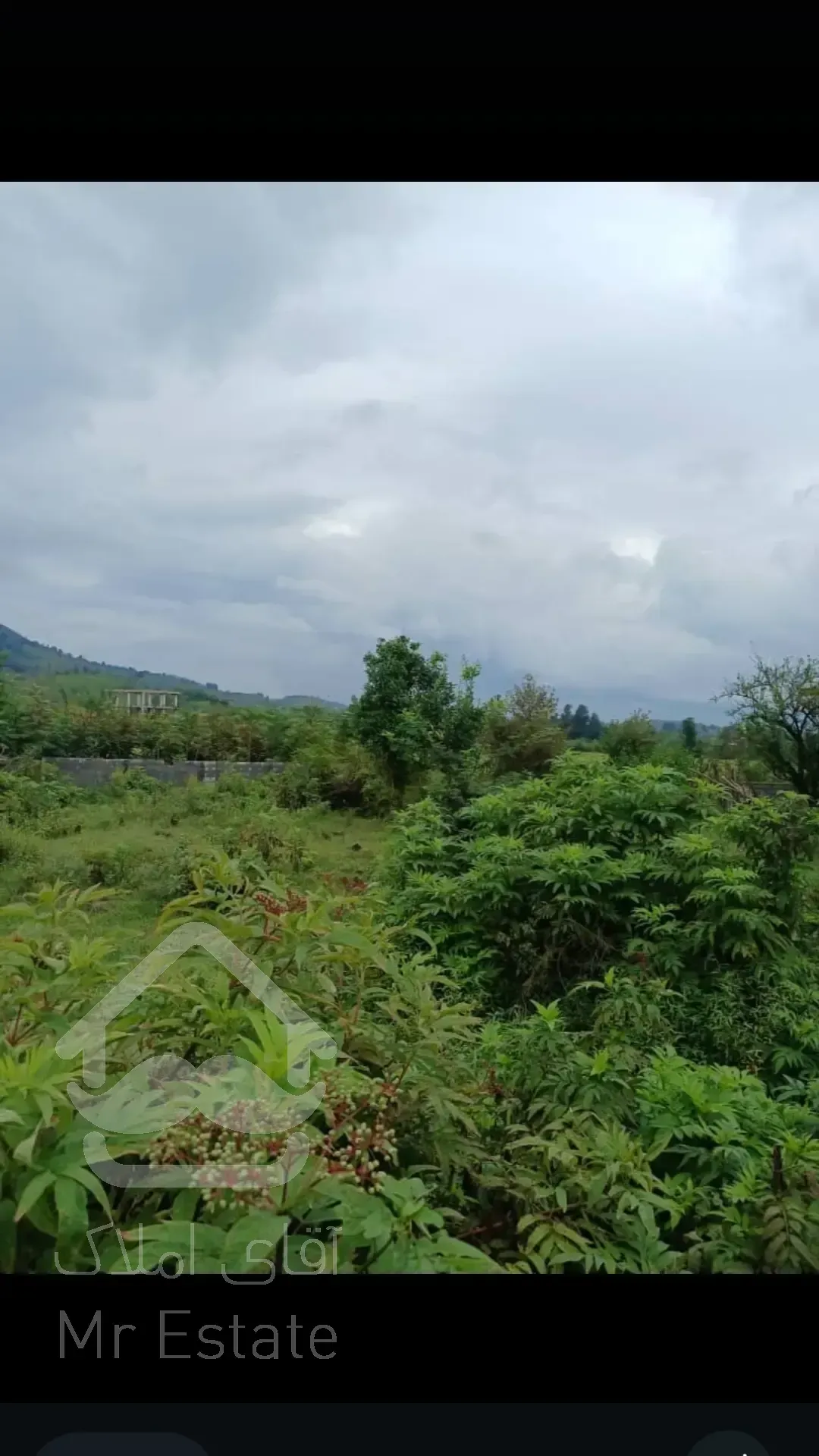 زمین مسکونی ۳۶۰ متری در استان گیلان