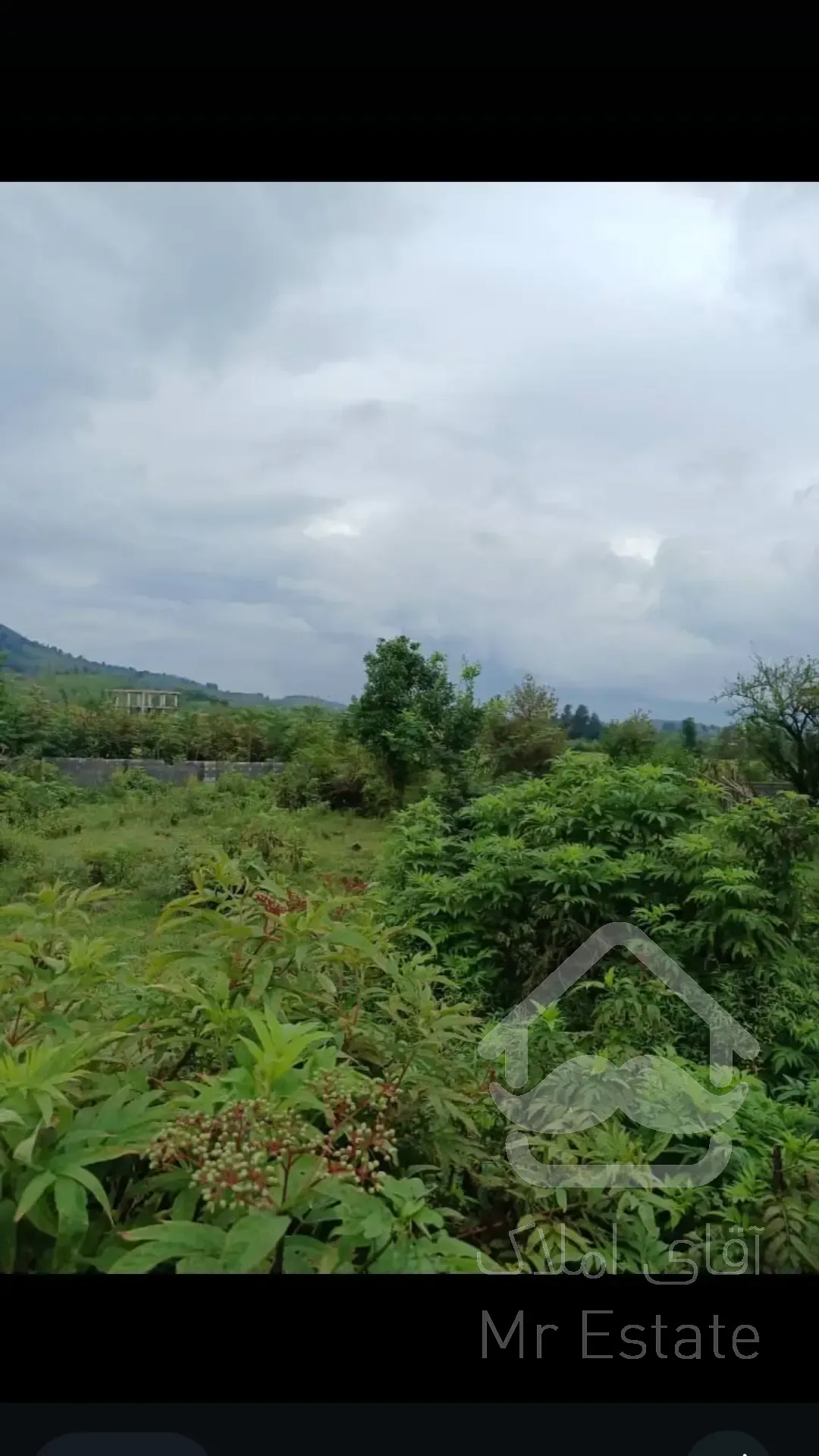 فروش زمین روستای سیاهکل ازبرم