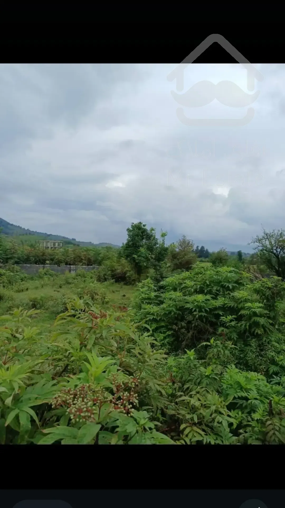 فروش زمین مسکونی در استان گیلان سیاهکل