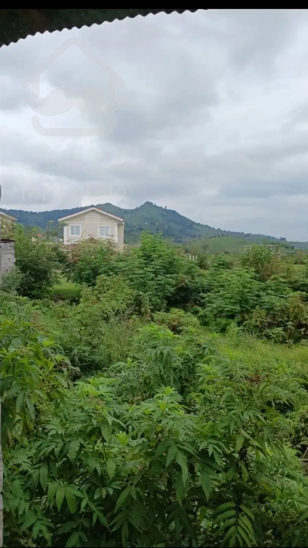 زمین مسکونی ۳۶۰ متری در استان گیلان