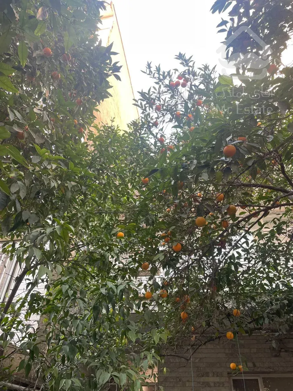 108 متر بروجردی