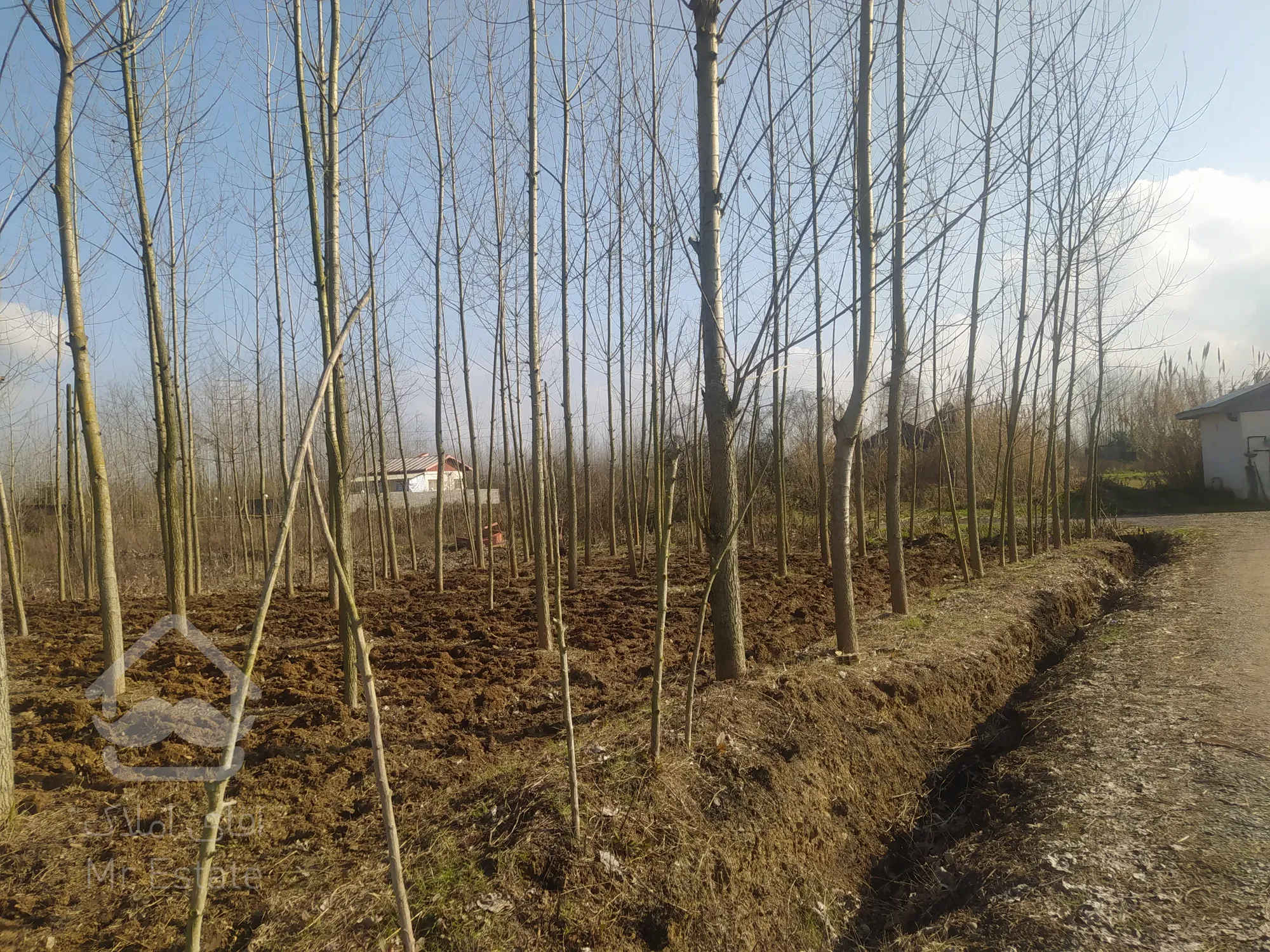 زمین مسکونی قصاب محله