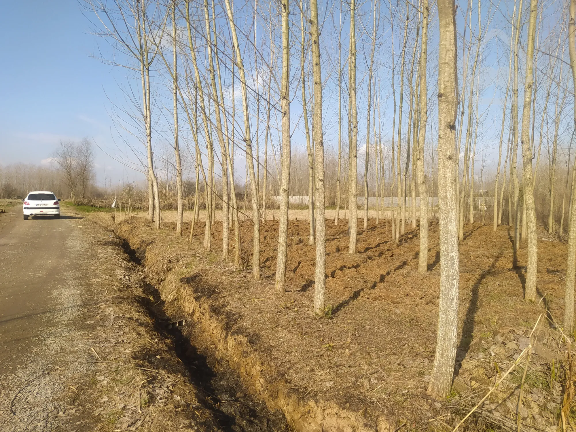 زمین مسکونی قصاب محله