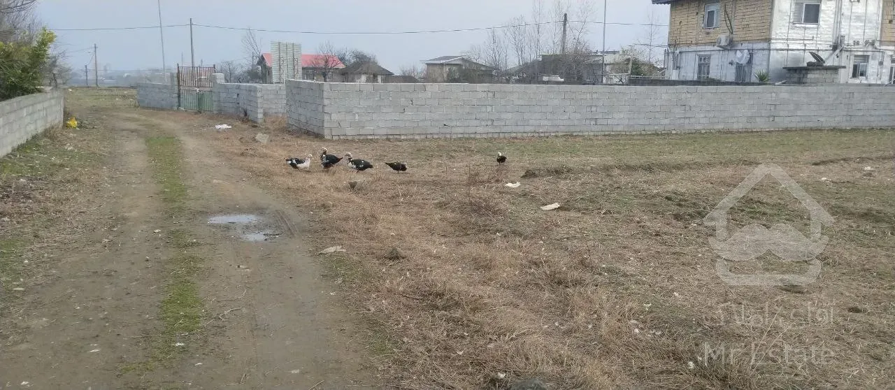 زمین مسکونی اسالم