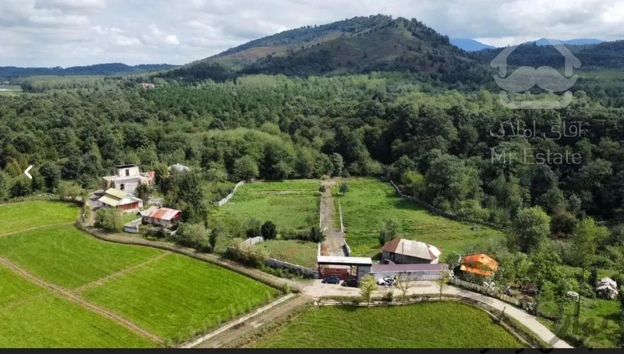 فروش زمین مسکونی جنگلی