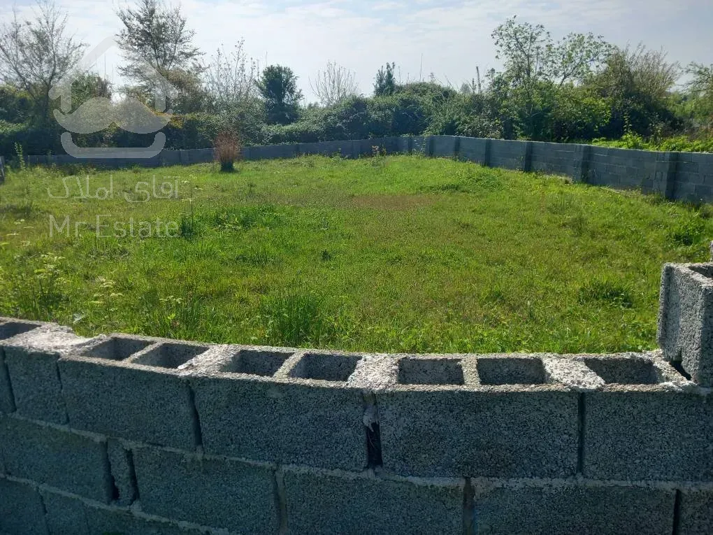 فروش زمین 550متر در گیلان