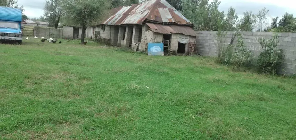 زمینی در گشت ( شکارگوراب )