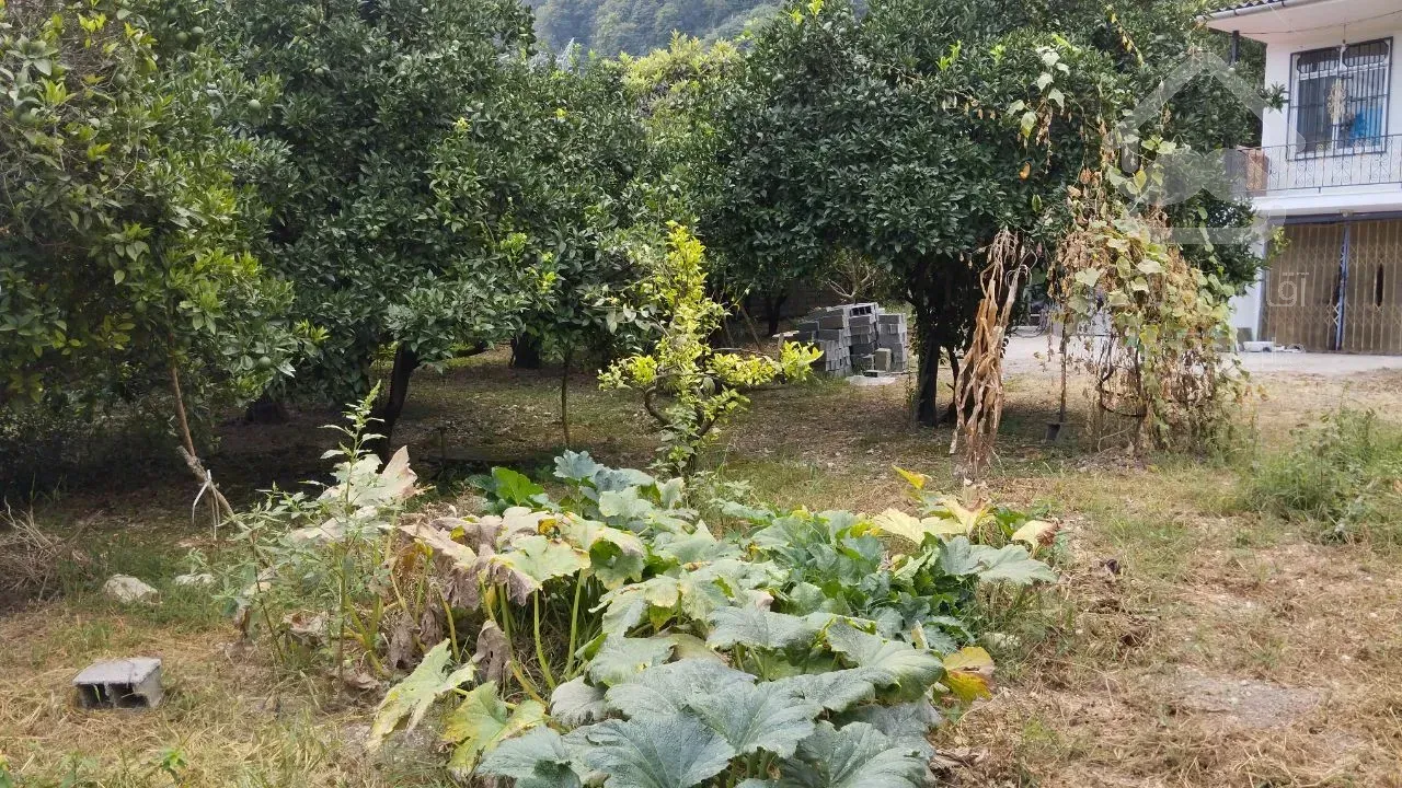 فروش زمین روستای چلک