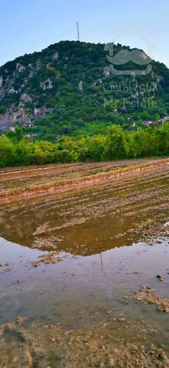 زمین رامسر ۶۵۰۰ متر