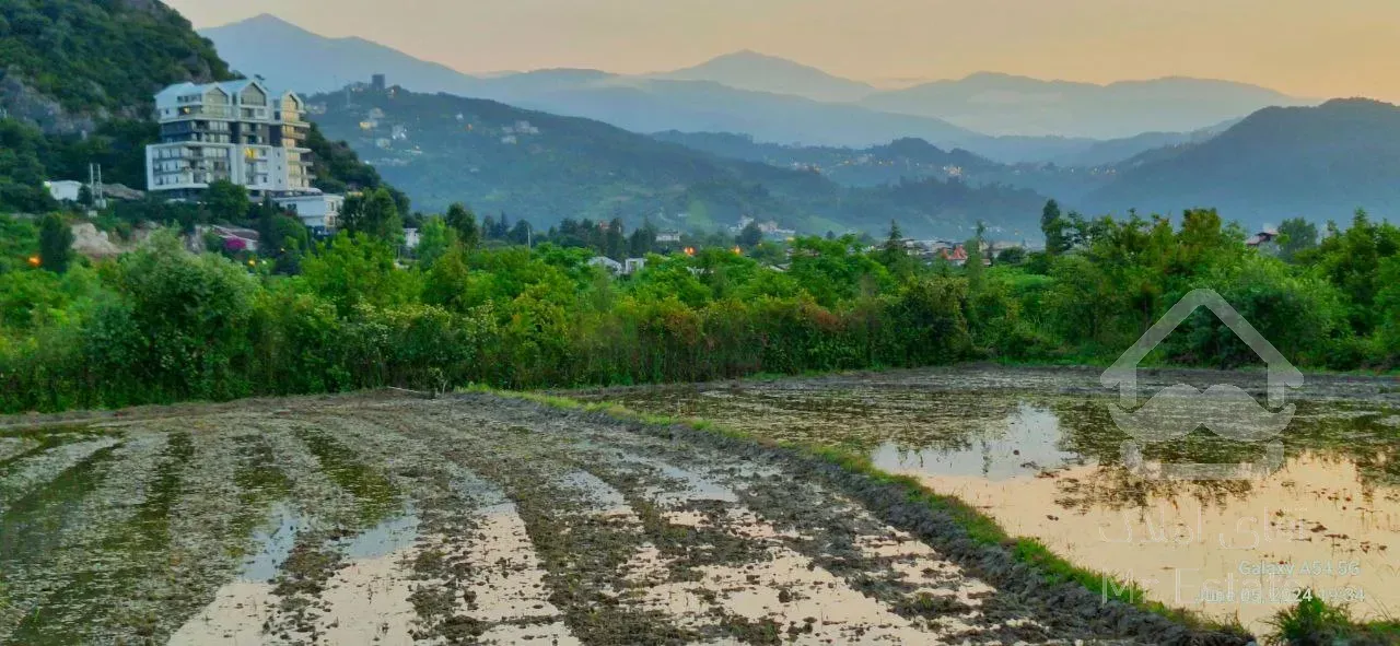 زمین رامسر ۶۵۰۰ متر
