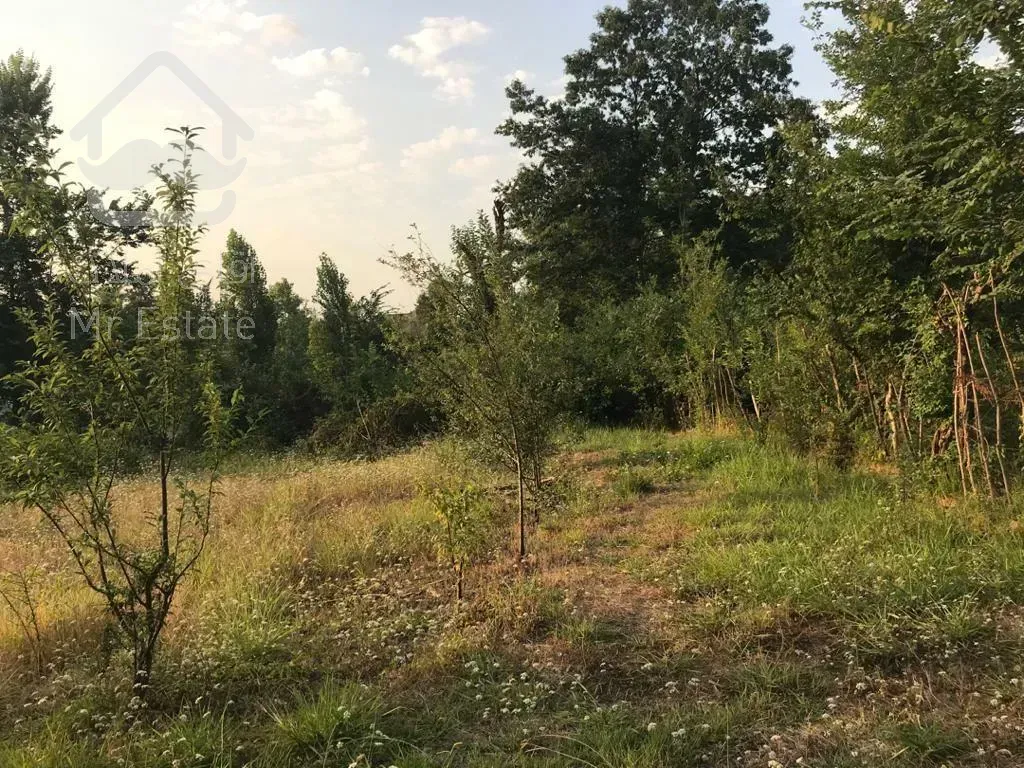 فروش ویلا باغ