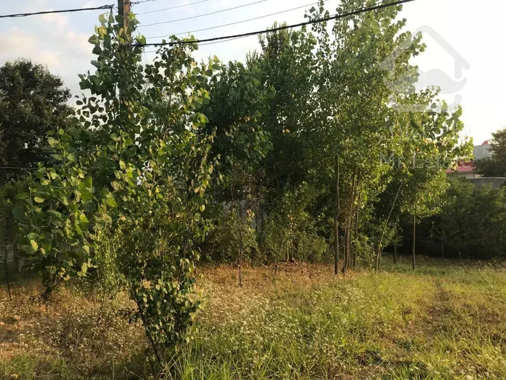 فروش ویلا باغ