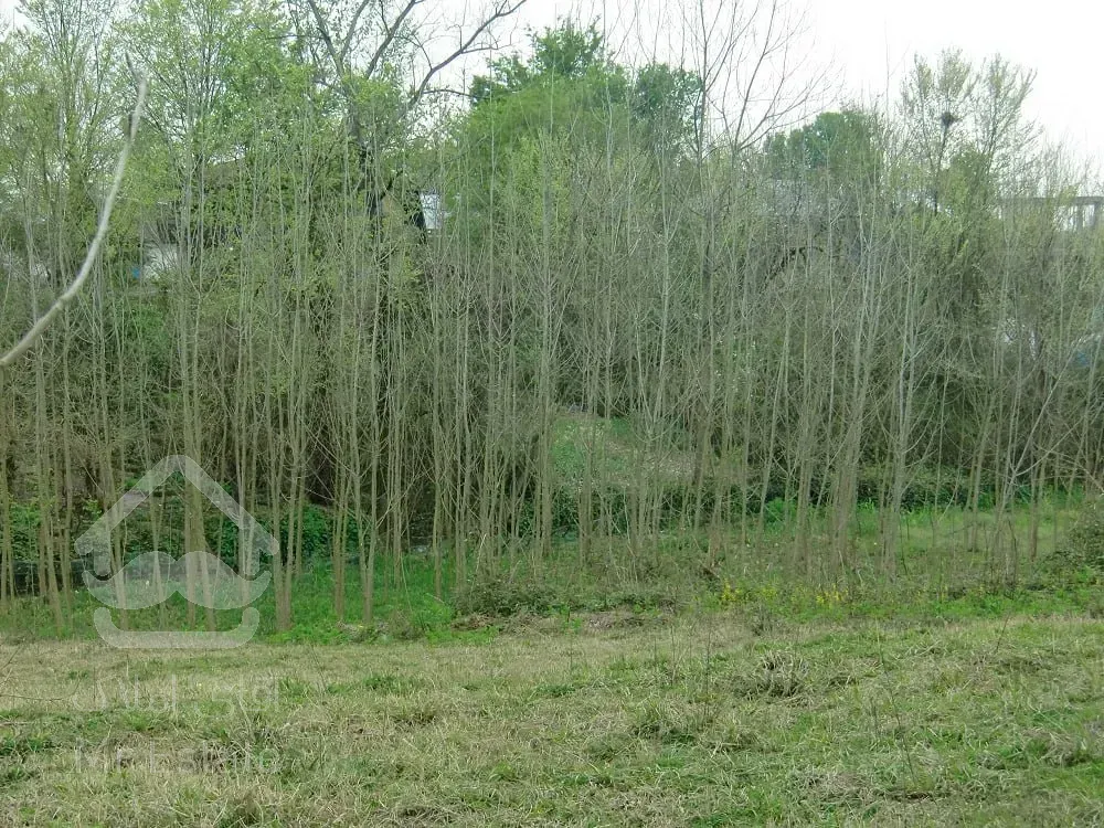 فروش ویلا باغ