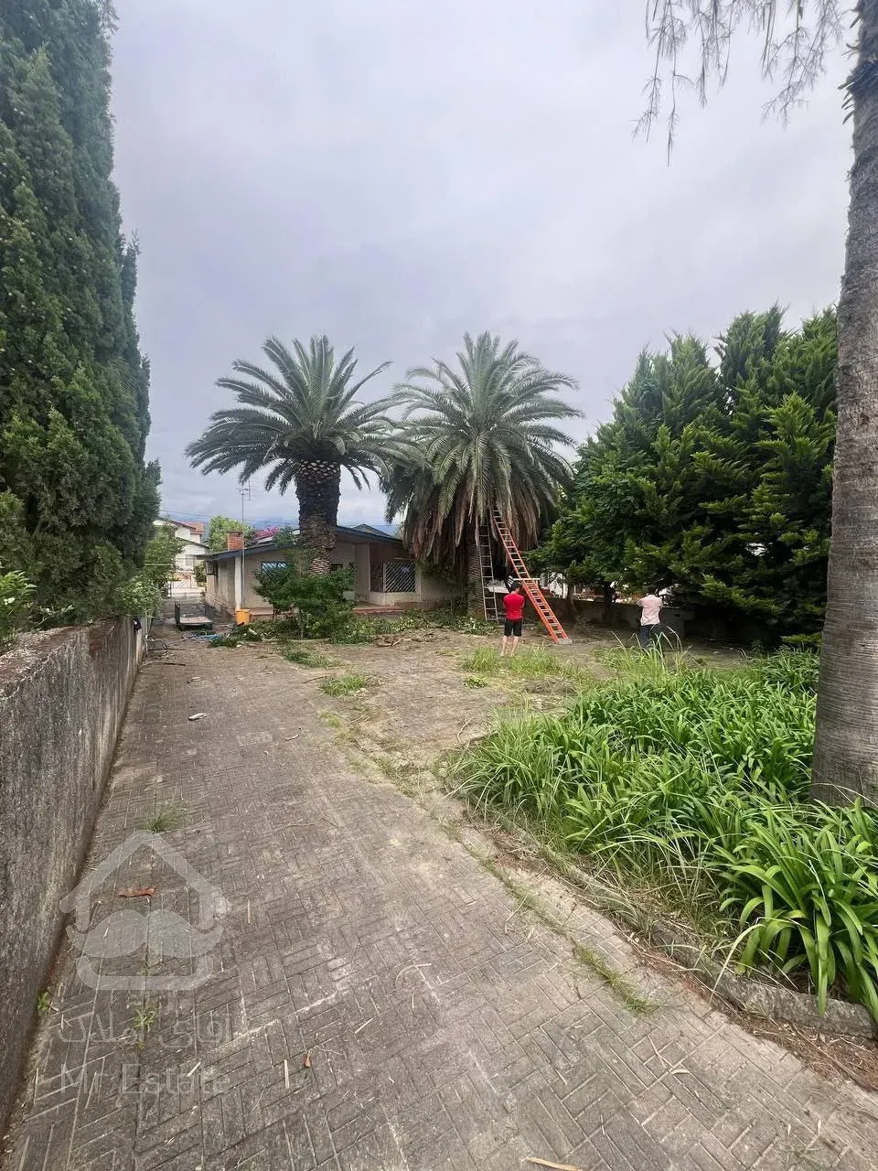 ویلا ساحلی سند دار