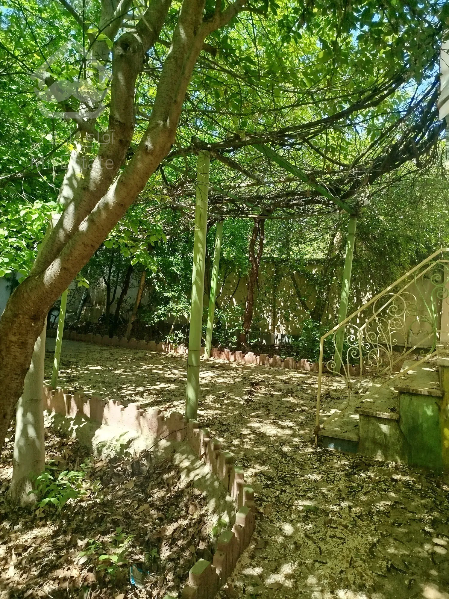 خانه باغ ۶۰۰متری