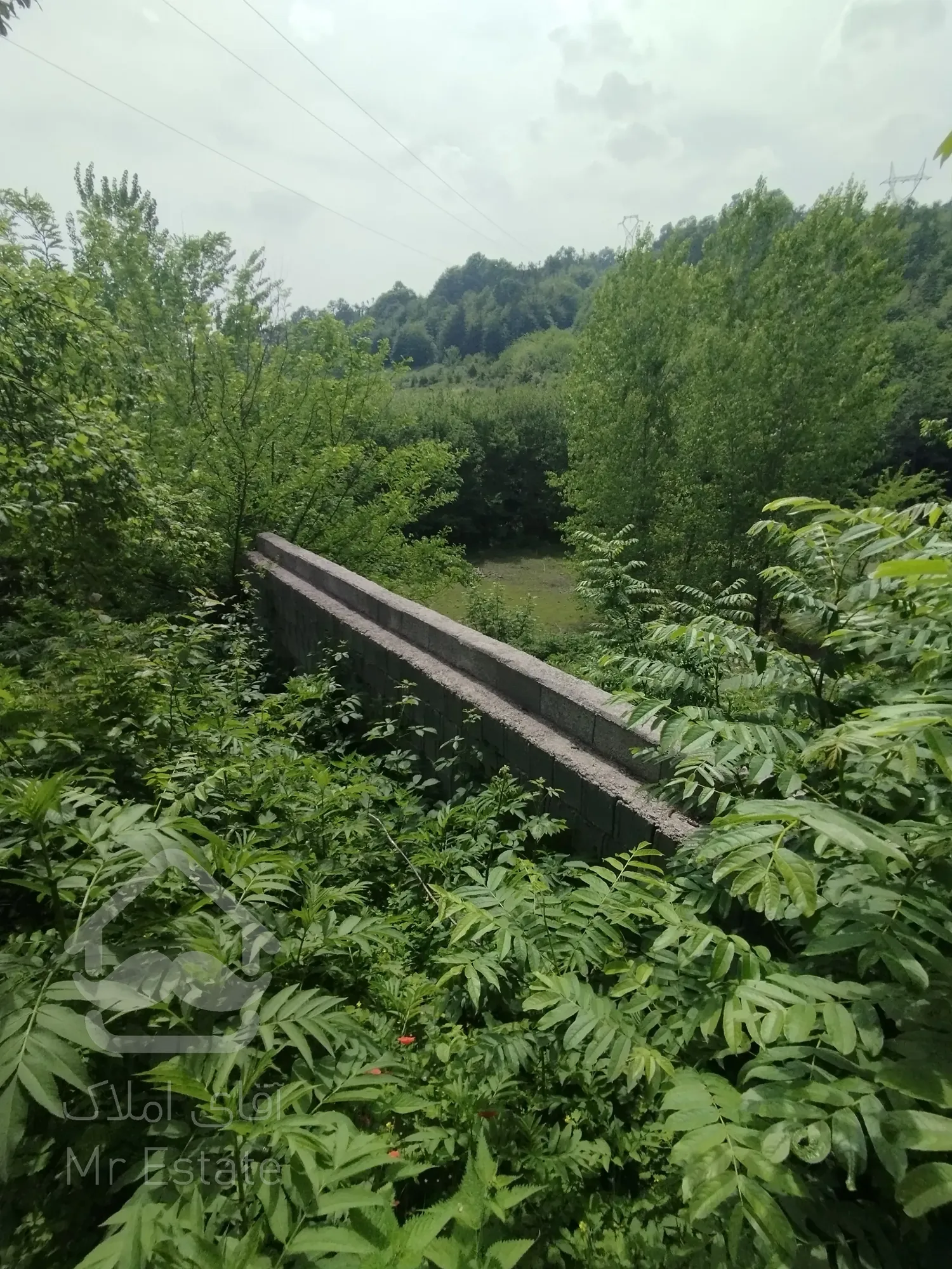 ویلا جنگلی شهرستان رودبار شمال