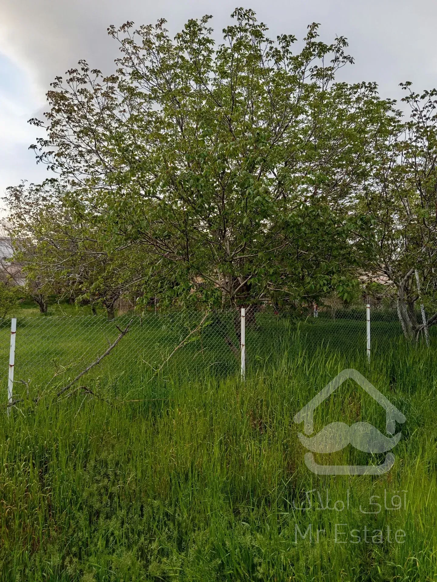 فروش زمین برای ویلا باغ