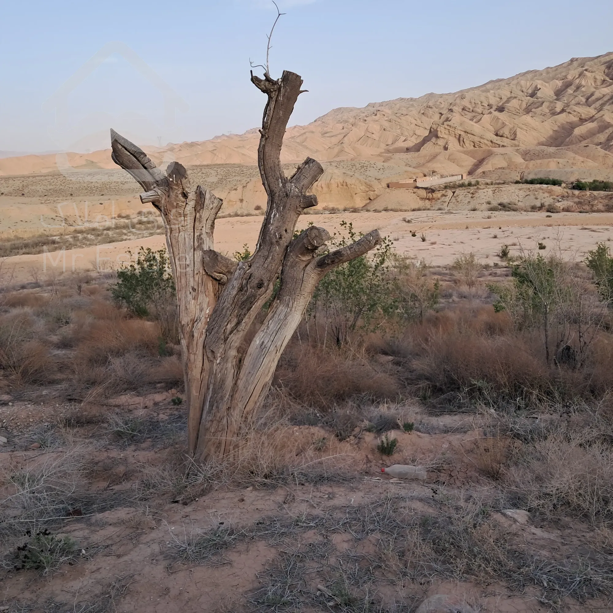 ۴ هکتار زمین کشاورزی مناسب سرمایه گذاری و فعالیت کاری