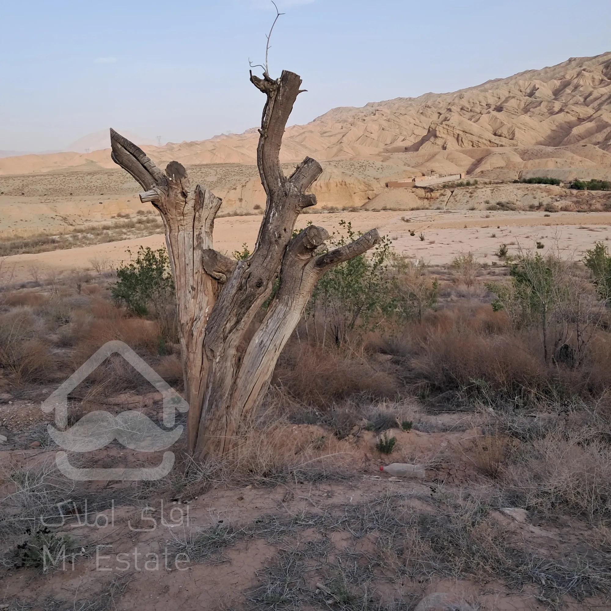 ۴ هکتار زمین مناسب گلخانه و فعالیت کاری و سرمایه گذاری