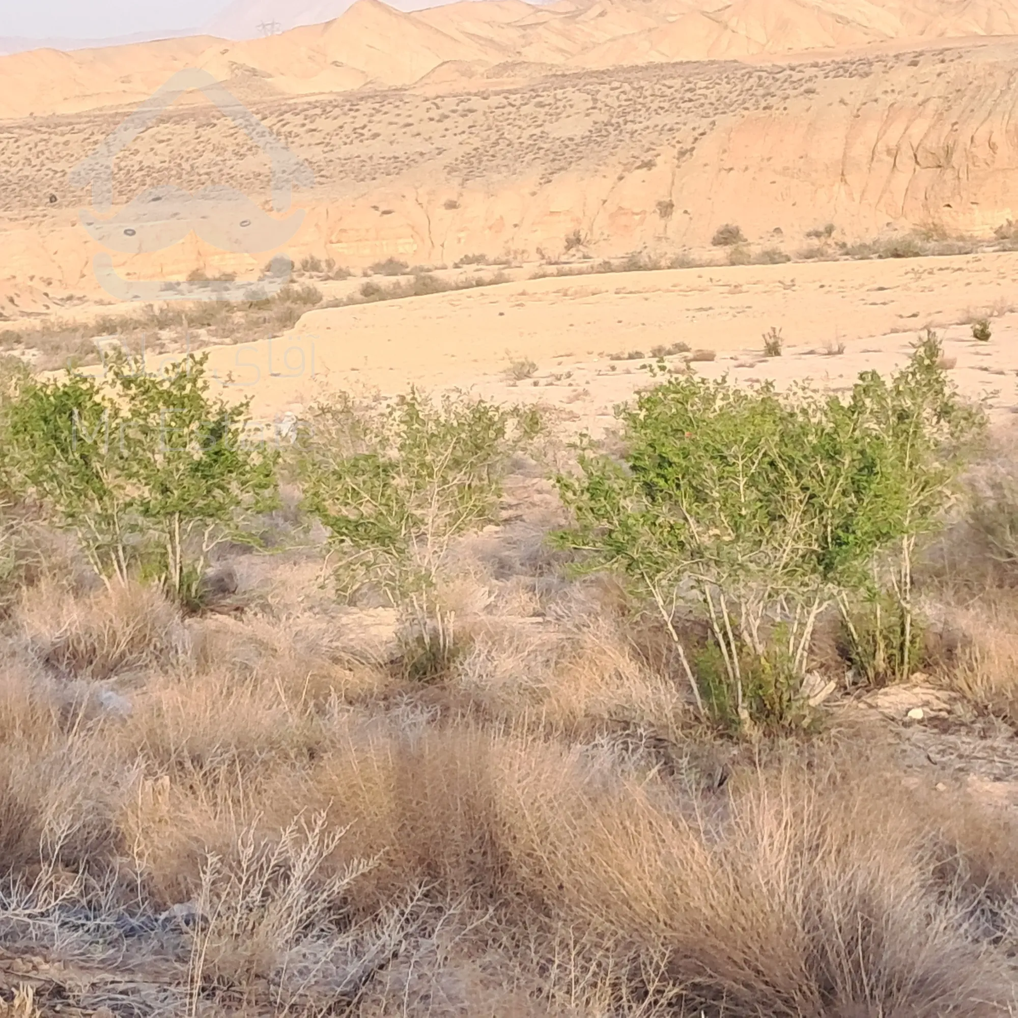 ۴ هکتار زمین مناسب گلخانه و فعالیت کاری و سرمایه گذاری