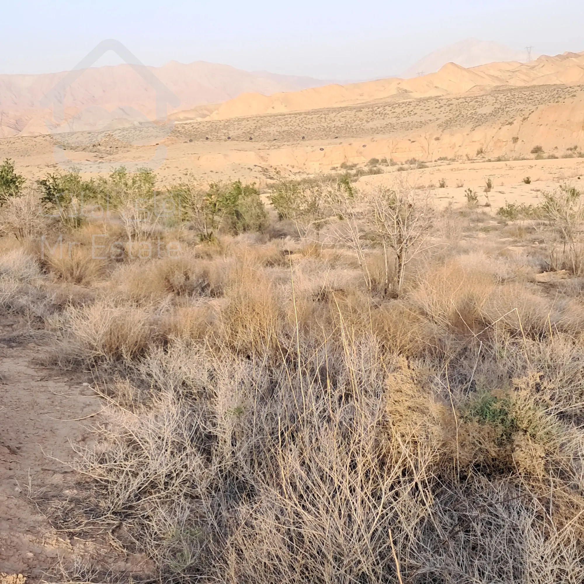 ۴ هکتار زمین مناسب گلخانه و فعالیت کاری و سرمایه گذاری