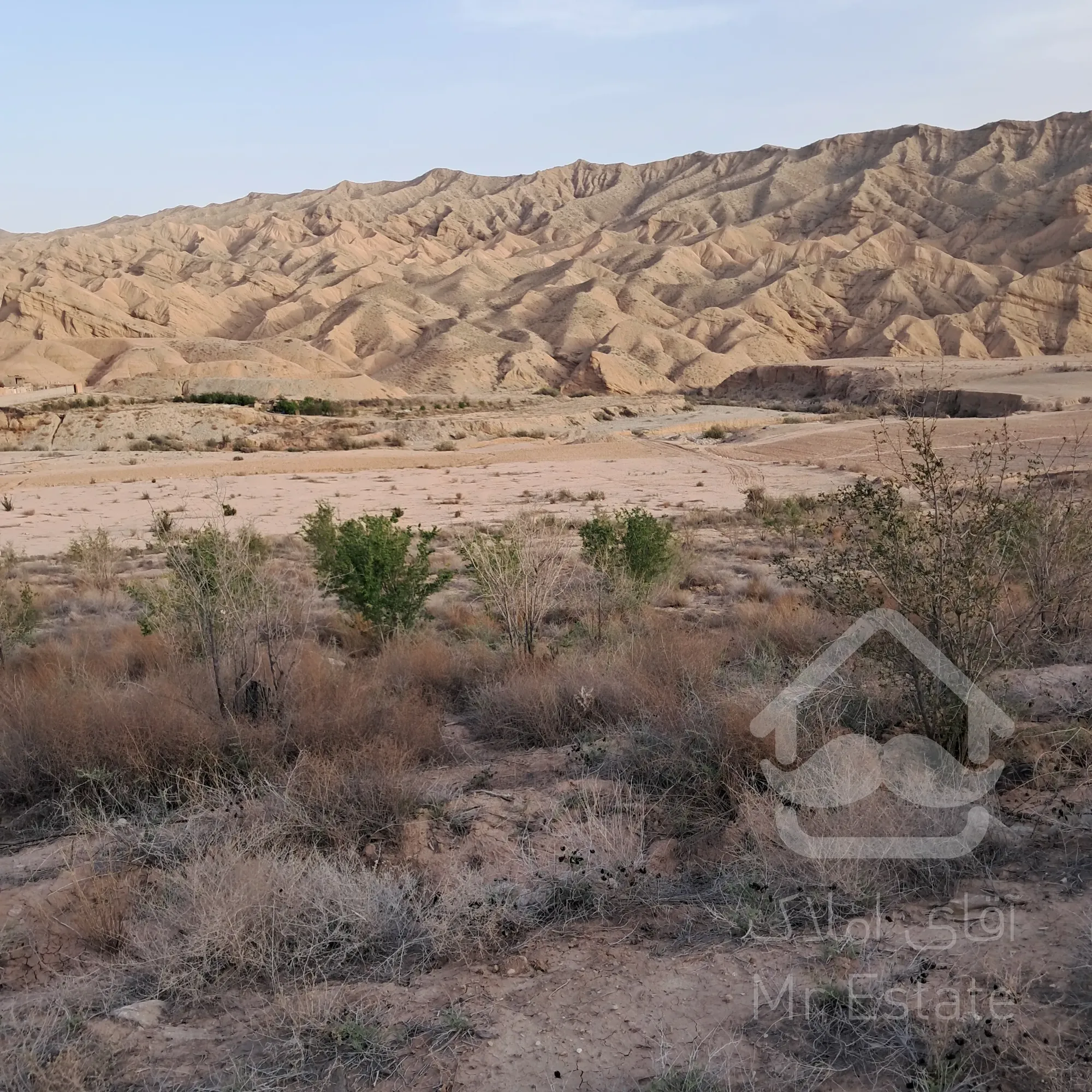 ۴ هکتار زمین کشاورزی مناسب سرمایه گذاری و فعالیت کاری