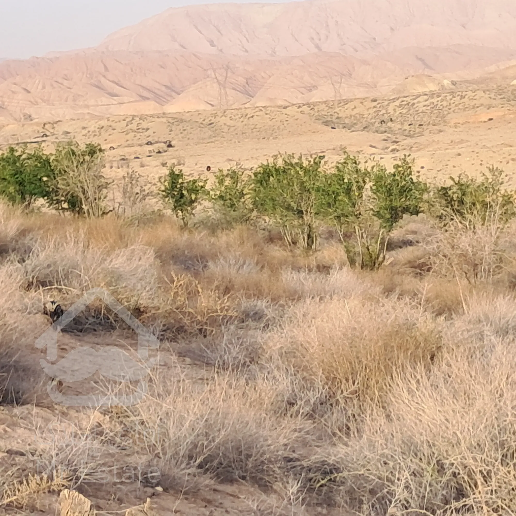 ۴ هکتار زمین مناسب گلخانه و فعالیت کاری و سرمایه گذاری