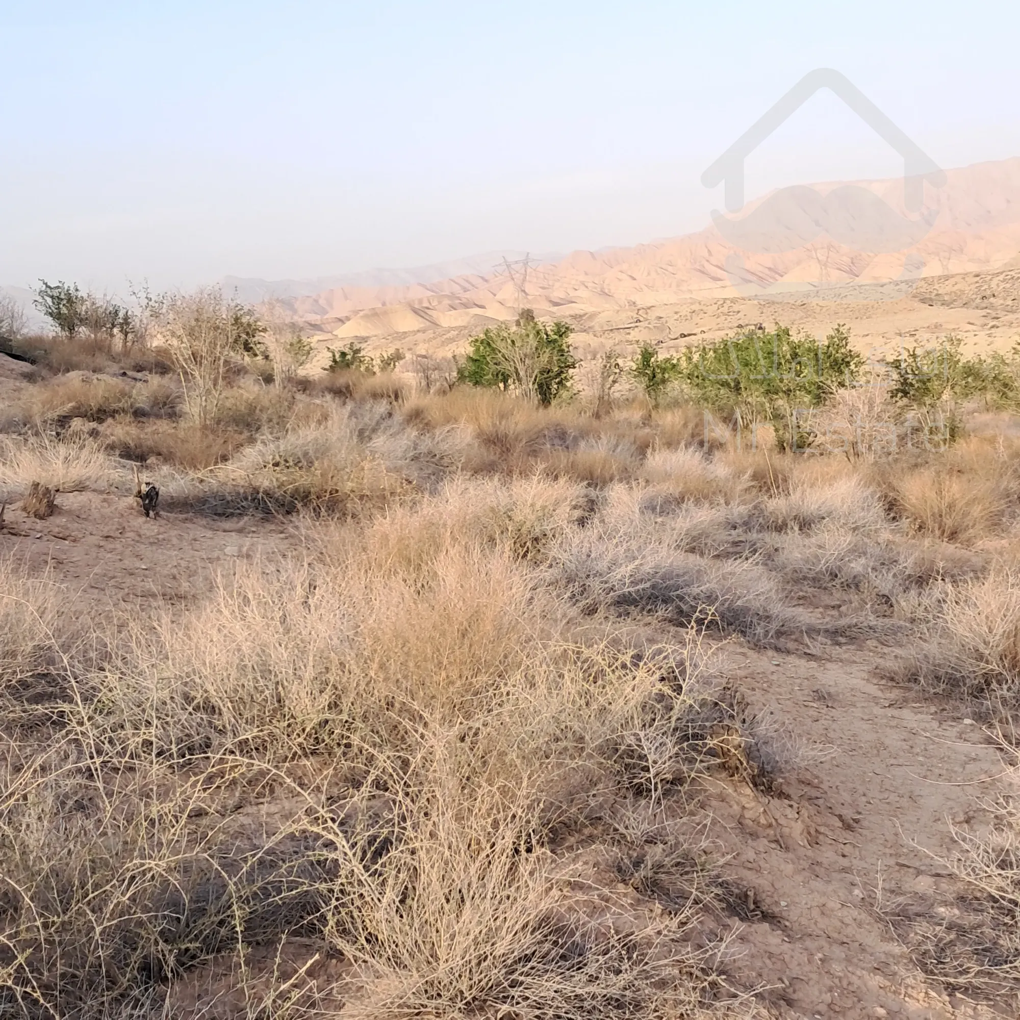 ۴ هکتار زمین کشاورزی مناسب سرمایه گذاری و فعالیت کاری