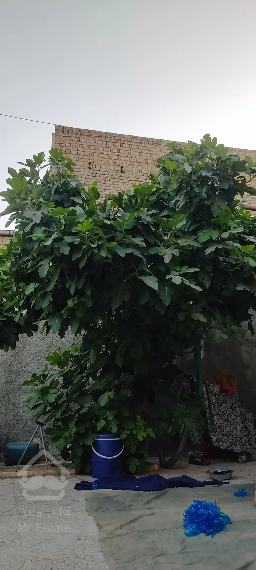 فروش فوری خانه فروشی