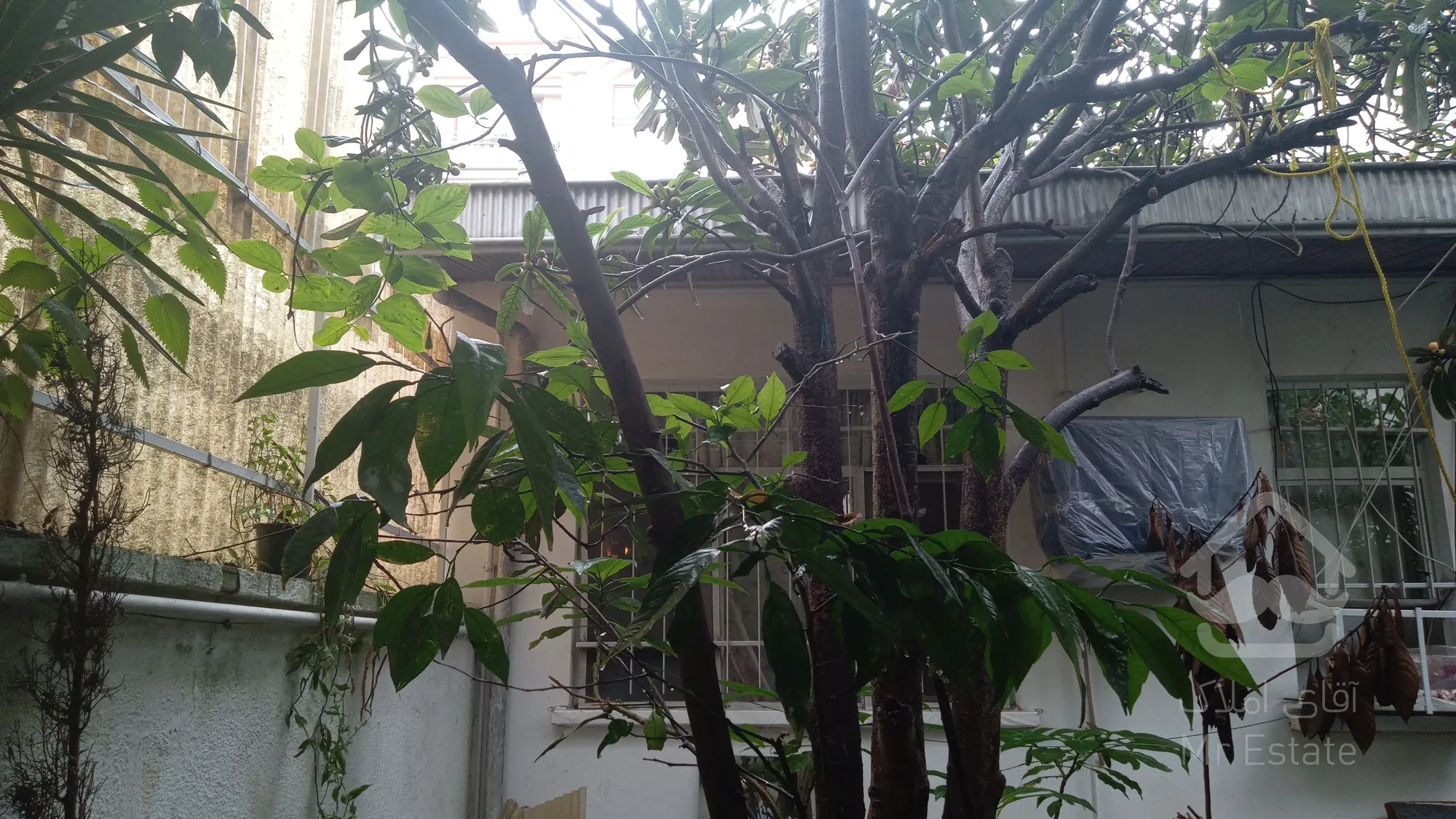 خانه ویلایی/زمین کلنگی