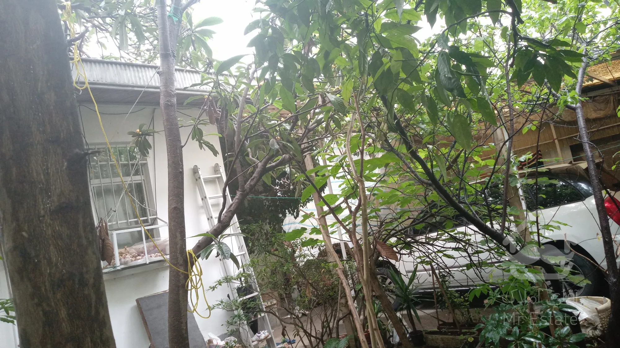 خانه ویلایی/زمین کلنگی