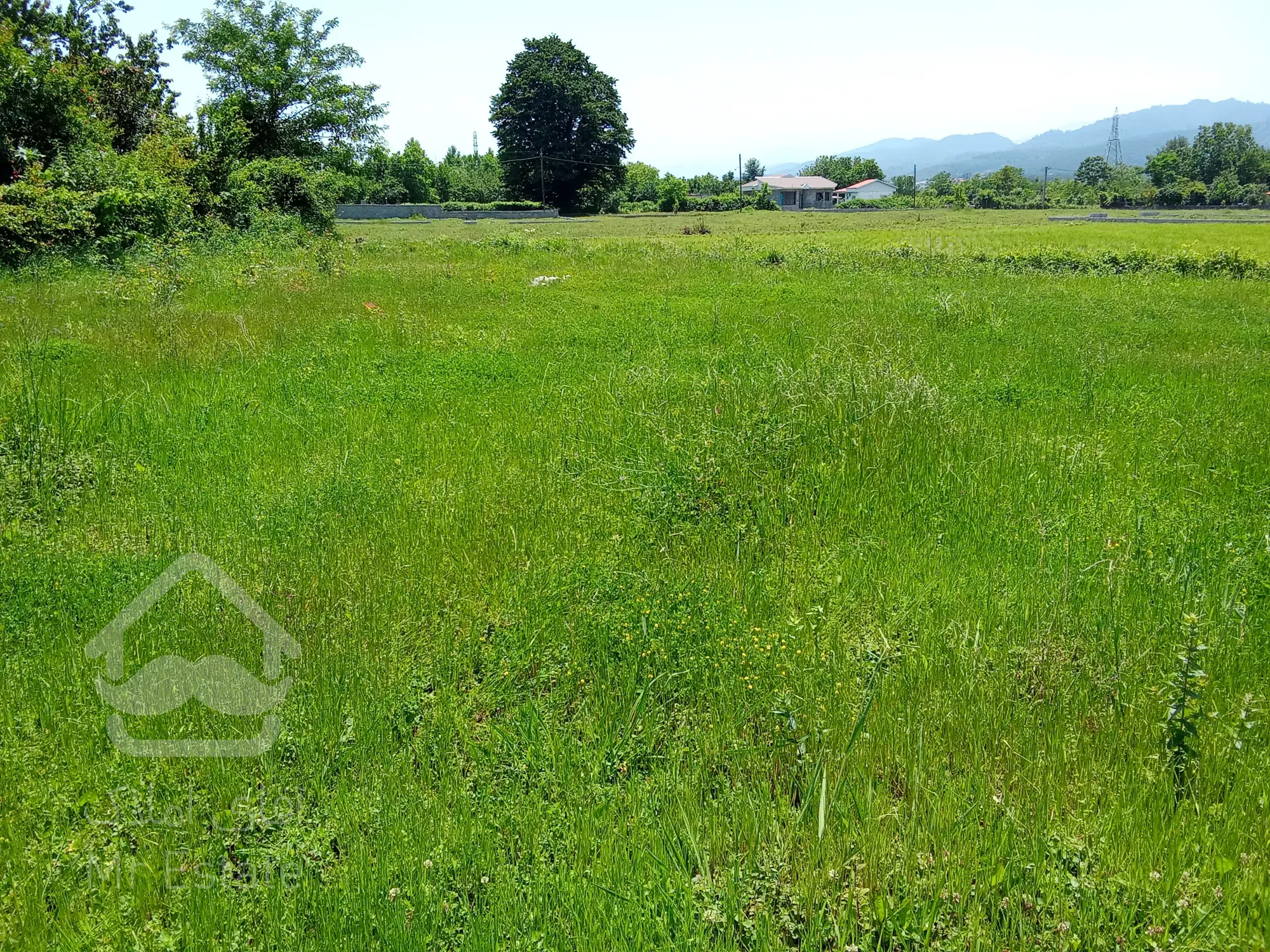 فروش زمین شیت شهری