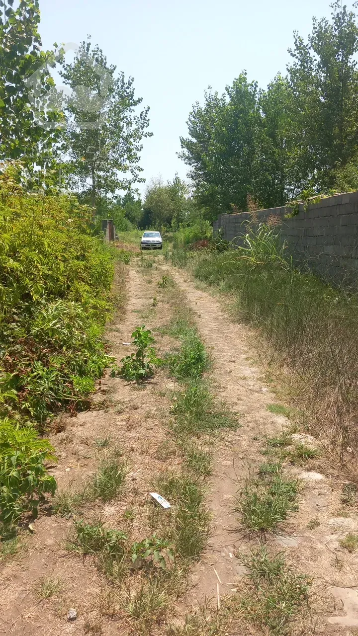 فروش زمین در لنگرود زیر قیمت