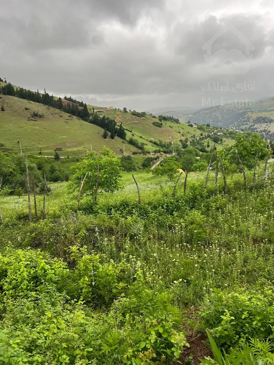 نقدی تخفیف پای معامله