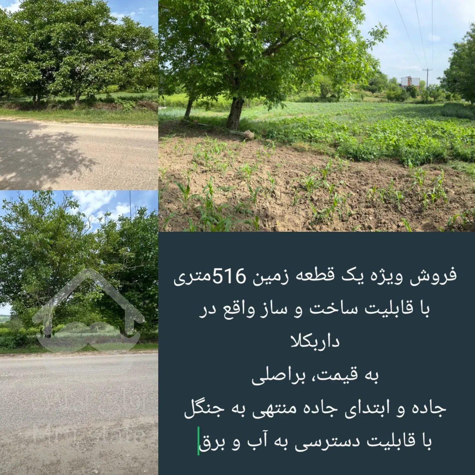 فروش یک قطعه زمین، بر اصلی جاده منتهی به جنگل، با قابلیت ساخت و امتیاز آب و برق و گاز