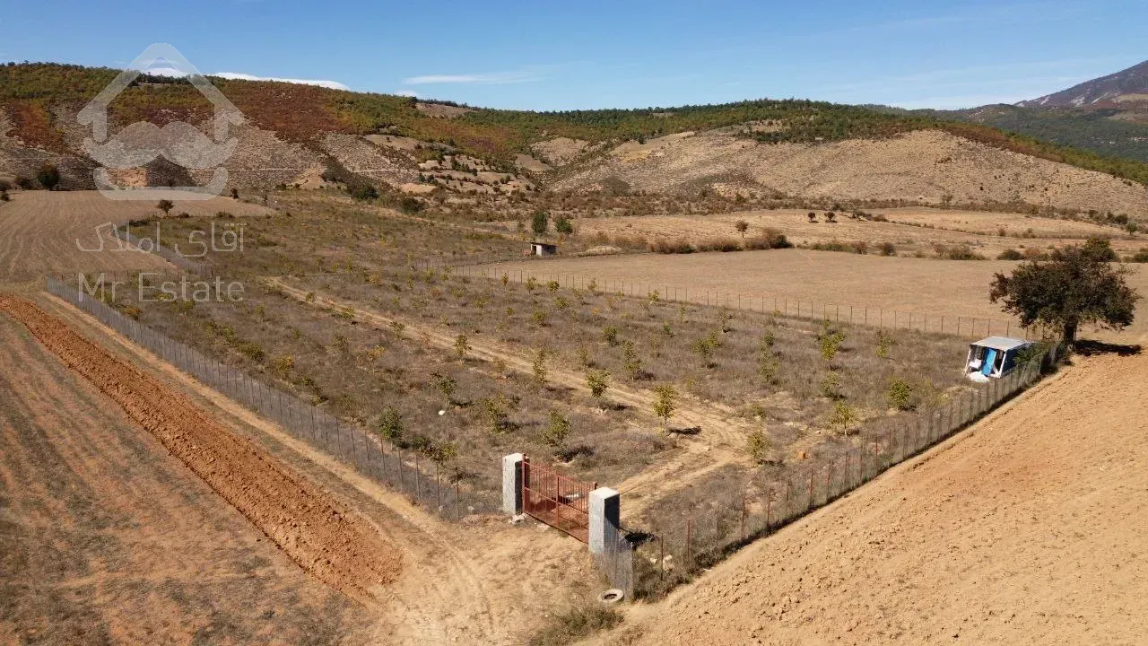 فروش باغ گردو هکتاری در شمال کشور