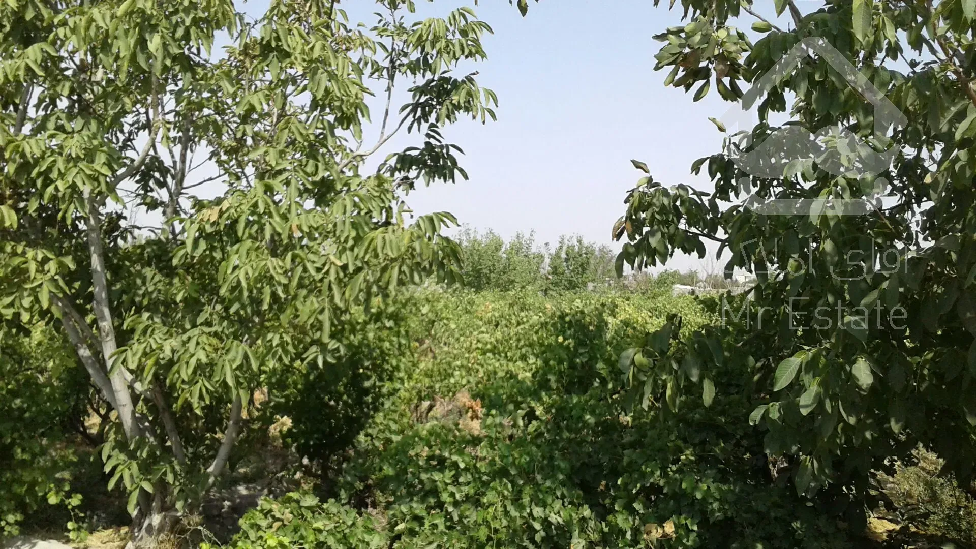 باغچه ویلا۳۰۰متری شهریار