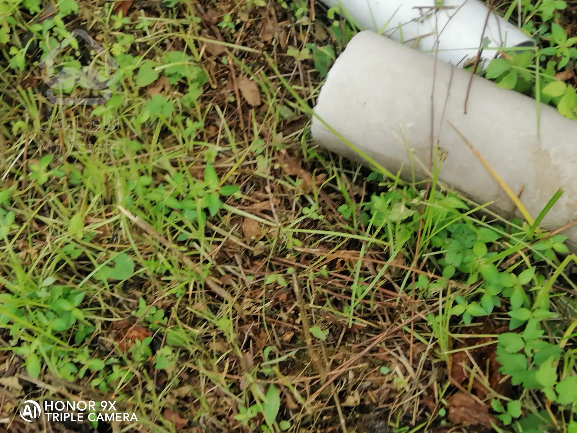 ۶۳۰متر ویلای دوبلکس ساحلی با سند تک برگ شفارود