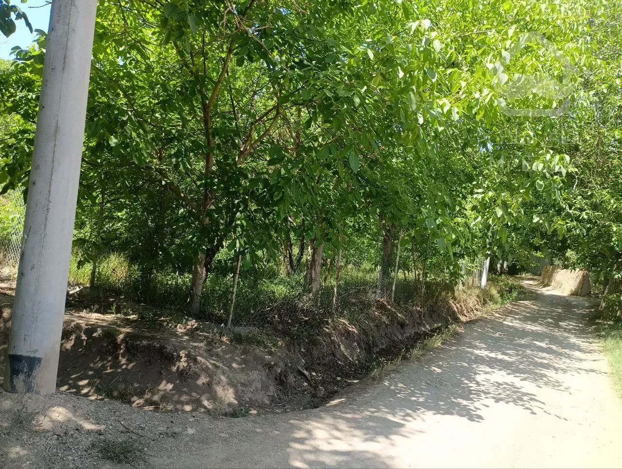 فروش زمین ۸۰۰ متری در بهترین جای دستجرد زیر قیمت