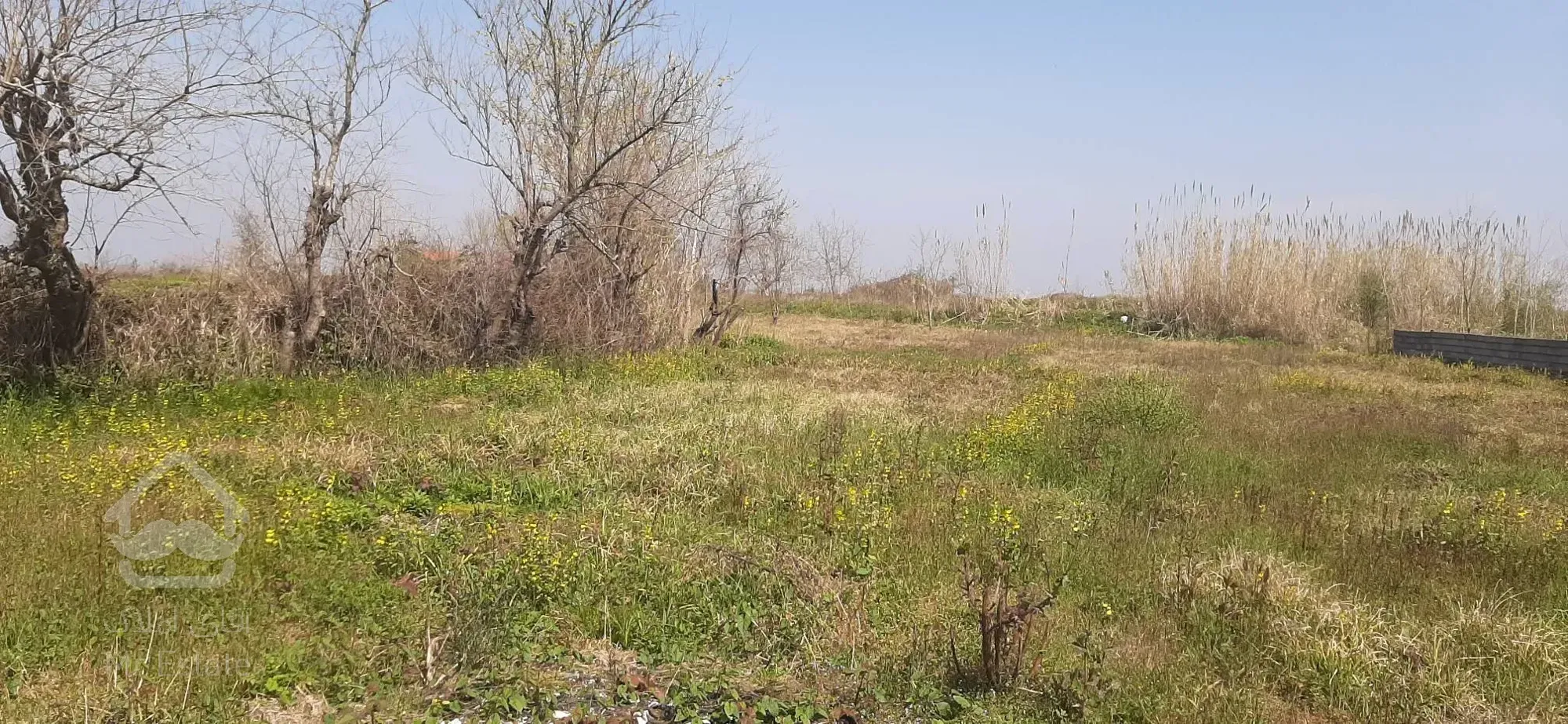 زمین روستایی باویو ابدی شالیزار
