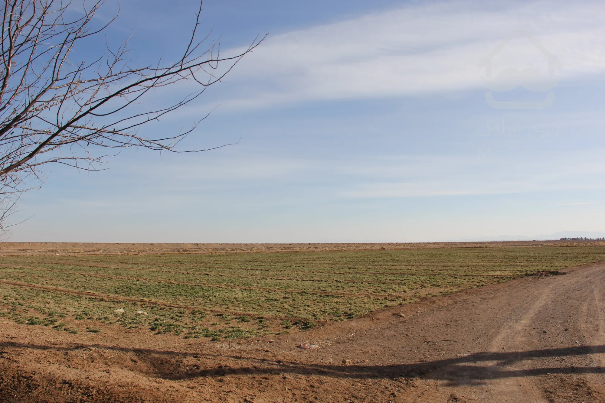 آینده را اکنون خریداری کنید