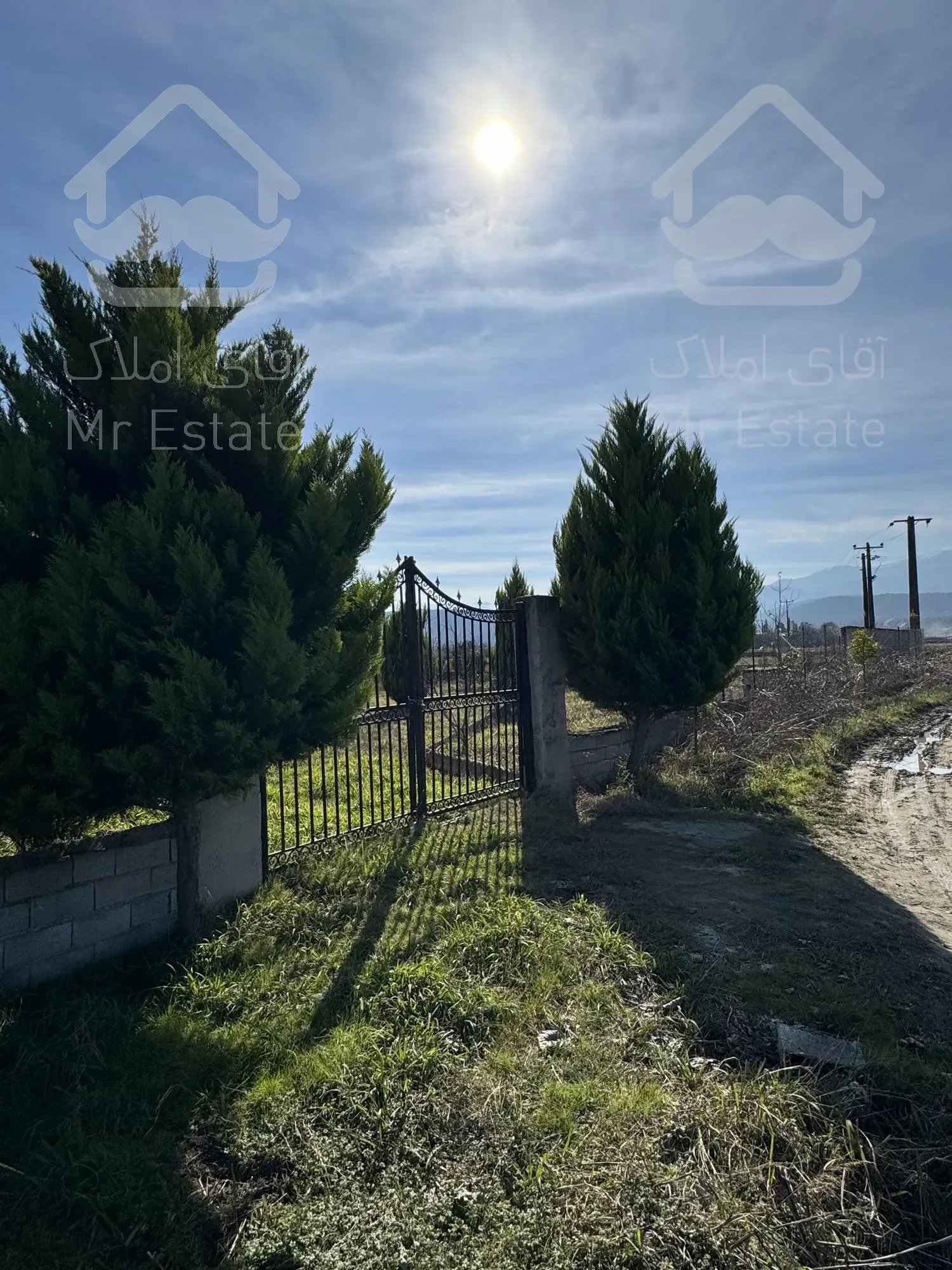 فروش زمین با ویو ابدی جنگل و کوه