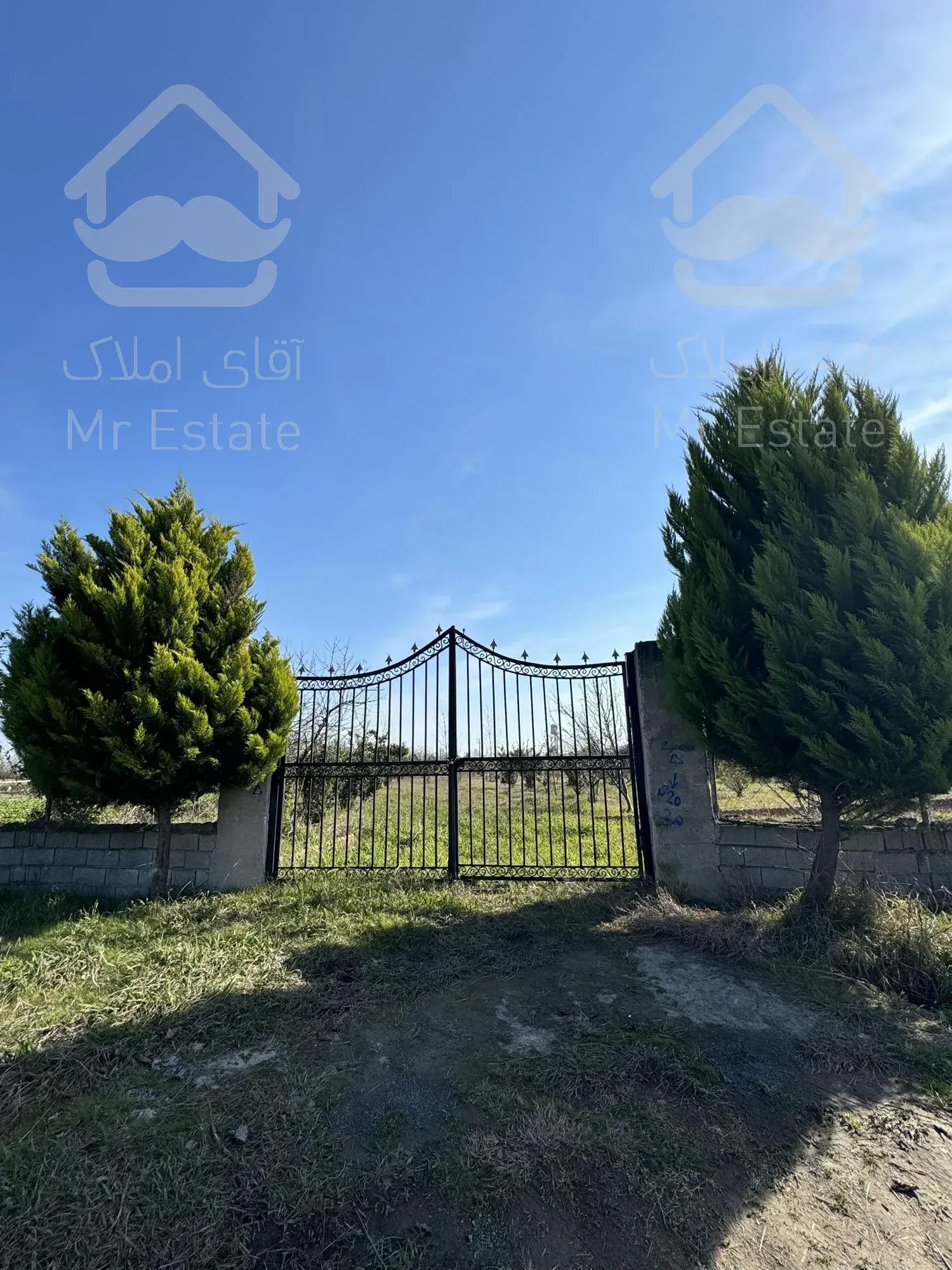 فروش زمین با ویو ابدی جنگل و کوه