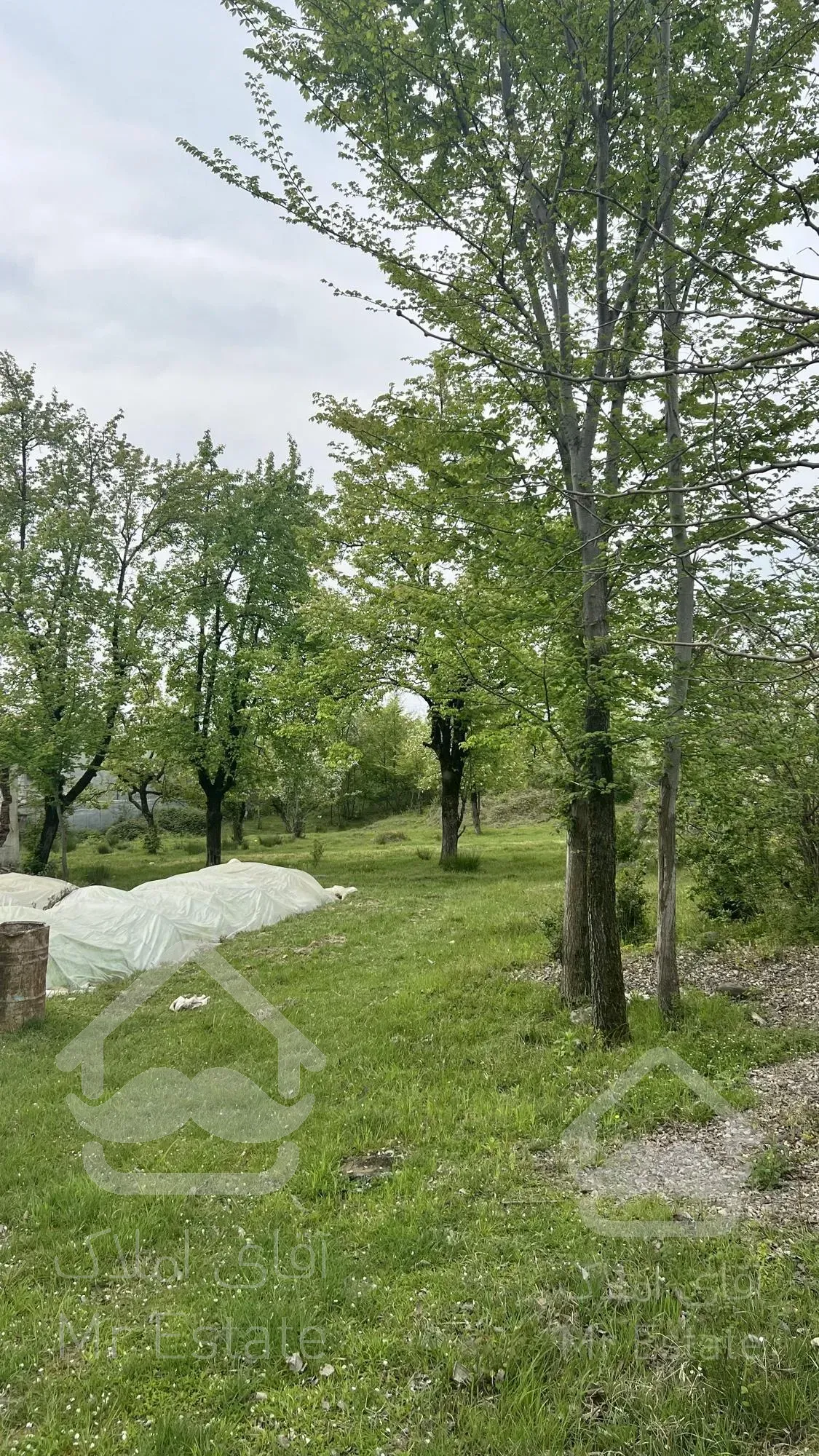 زمین با کاربری تجاری مسکونی